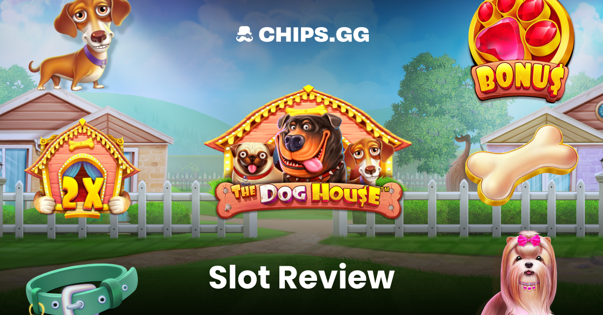 Slot Bonus Features Explained Beginner Guide 2026